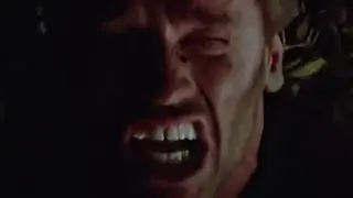 The Predator: An Unbridled Rage