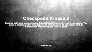 Medical vocabulary: What does Checkpoint Kinase 2 mean