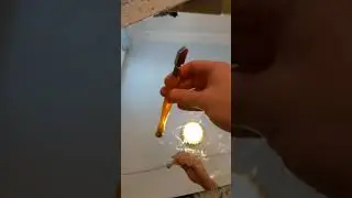 Mirror In The Trash Tiktok gregdwilson