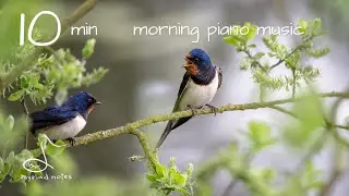 《10min》Morning piano music for inner peace｜calm, relaxing