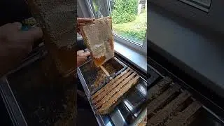Мёд от местной пчелы!!!!