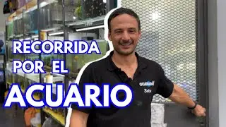 Recorrida por el acuario al 8 de mayo ! conozcan los peces que mantenemos en acuario acuaworld!