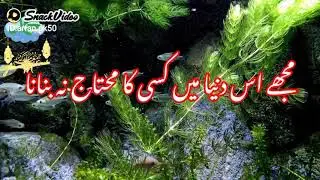 Jumma Mubarak Status | Heart Touching Dua Status | Short Jumma Mubarak Status