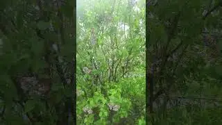 07.05 2024...Москва #motivation #россия #moscow #home #tiktok #diy #europe #1k