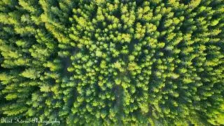 Kevadine Mooste, Leevaku, Nulga (DJI Mavic 3 Classic)