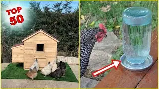 TAVUKLAR VE KÜMESLER İÇİN HARİKA FİKİRLER