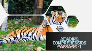 READING COMPREHENSION | BASIC LEVEL | TIGER PASSAGE | BABY ELEPHANT PASSAGE | READING PRACTICE