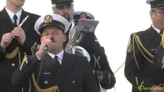 Róża i bez