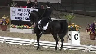 Set #2 - Evening of Musical Freestyles - Del Mar National Horse Show - 2019