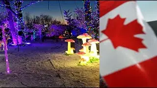 Spectacle de lumière à Laval - Illumi par Cavalia 2021/2022