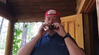 Сова флейта