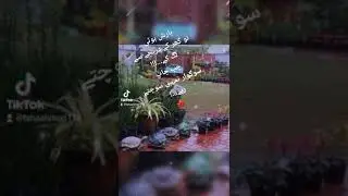 #whatsup statas# was paya ga# #punjbi song#🌫☁️🌧badal kala was pay ga#