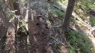 My First Airsoft Vid!