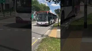 [SBST] SBS6004B On Service 102 - Mercedes-Benz O530 Citaro Batch 1