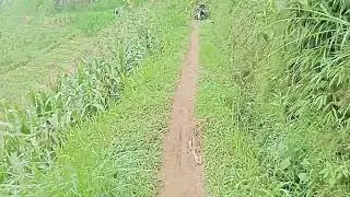 JELAS BEDA DI JALAN INI