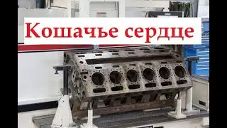 Кошачье сердце!