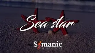 SeaStar - Afrobeat Instrumental 2019 / Zouk Celtic Epic Orchestra