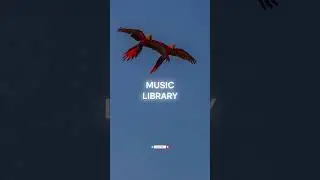 Olif - Be Yourself (Music Library) 