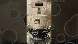 Chapati or Roti Dough within Seconds | Preethi Zodiac Mixer Review 