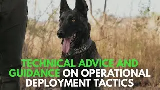 Technical advice and guidance on operational deployment tactics 