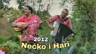Nećko i Hari - Lezi mala | 2012