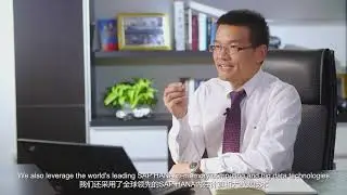 新疆丰华神州 Fenva Auto-parts SAP Business One Reference