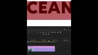 Adobe Premiere Pro Tutorial: How to Add Text to Video Effect #photography #tip #tutorial