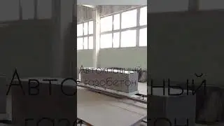 17 октября 2023 г.