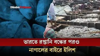 ভারতে রপ্তানি বন্ধের পরও নাগালের বাইরে ইলিশ | Dhaka Tribune