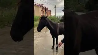 4 ноября 2022 г.