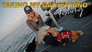 Dachshund Fishing Adventure (My puppies first time in a boat)