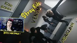 Stray Kids 거미줄 
