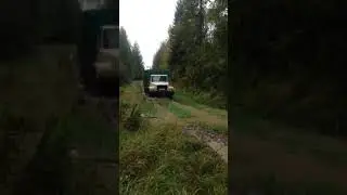 ГАЗ-33081