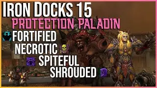 Protection Paladin POV | Iron Docks 15 | Season 4 Shadowlands