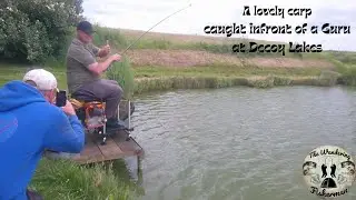 Lovely carp caught in front of a Guru.