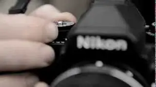 Pure Fotografie