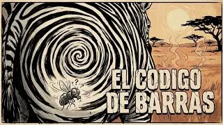Por Qué las Cebras Tienen Rayas: La Verdadera Función Biológica (No es Camuflaje) 🦓🔬