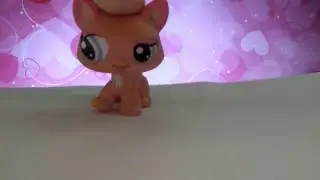 Рекомендую каналы 😻😻😻😍🐱🌈