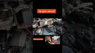 Марк Самурай #shots