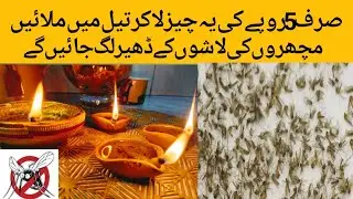 Get rid of mosquitoes | Homemade mosquito killer | Machar bhagane ka tarika | remedy by chef Ezza 😍