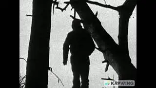 The Welsh Great Escape