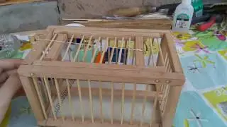 Обзор ловушки для птиц