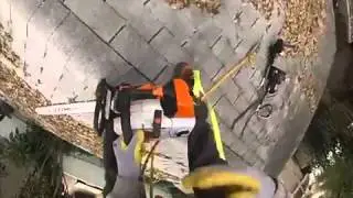 Man Exposes Angry Bee Hive When Cutting Tree