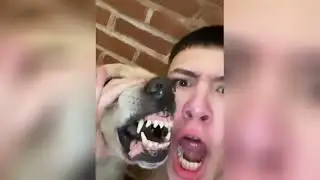 СМЕШНЫЕ ВИДЕО | ПРИКОЛЫ | ФЕЙЛЫ#36