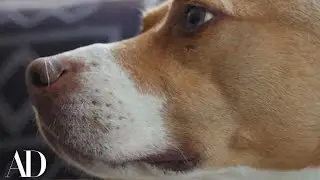 Antoni Porowski Has the Best Four-Legged Roommate