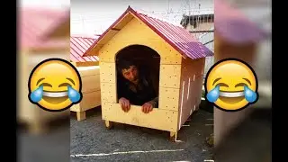 TRY NOT TO LAUGH 😂🔥😹 #1