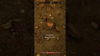 Skyrim 