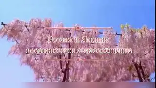 Россия и Япония  восстановили авиасообще