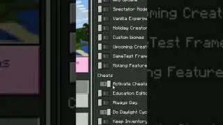 How to fly in survival 