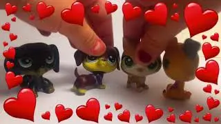 Мы ненормальные психи 🤪🤪🤪